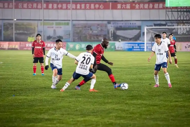 雨燕直播在线观看高清